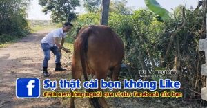 Chúng ta đều có một hoặc một vài người chả bao giờ thấy xuất hiện ở những status của bạn, dù chỉ là nút like. Và dưới đây là sự thật vê họ...