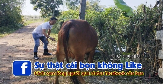 Chúng ta đều có một hoặc một vài người chả bao giờ thấy xuất hiện ở những status của bạn, dù chỉ là nút like. Và dưới đây là sự thật vê họ...
