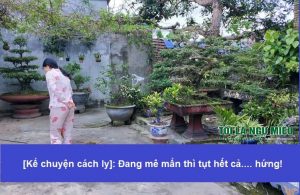 Thời gian hai vợ chồng tự cách lý ở nhà, cũng có nhiều câu chuyện thú vị lắm, thậm chí cả cảm xúc đang mê mẩn thì tụt hứng nữa, xin kể bạn...