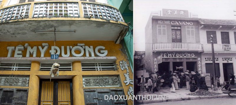 Nếu có dịp đi qua số 220 Trần Hưng Đạo, thành phố Nam Định cũ (nay thuộc tỉnh Ninh Bình), chắc hẳn bạn sẽ ấn tượng với một con cá vàng khổng lồ treo ngay trước mặt tiền ngôi nhà này. Đây chính là Hiệu thuốc Tế Mỹ Đường, hay còn được người dân quen gọi là Hiệu thuốc Cá Vàng.